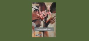 amar-bail-novel-by-umera-ahmed-pdf-download