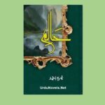 haalim-novel-by-nimra-ahmed-pdf-download