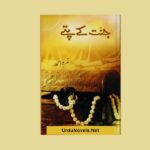 jannat-kay-pattay-novel-by-nimra-ahmed-pdf-download